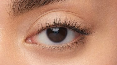 before image before and after slider Colossal36h 1